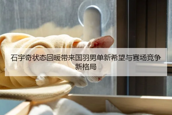 石宇奇状态回暖带来国羽男单新希望与赛场竞争新格局
